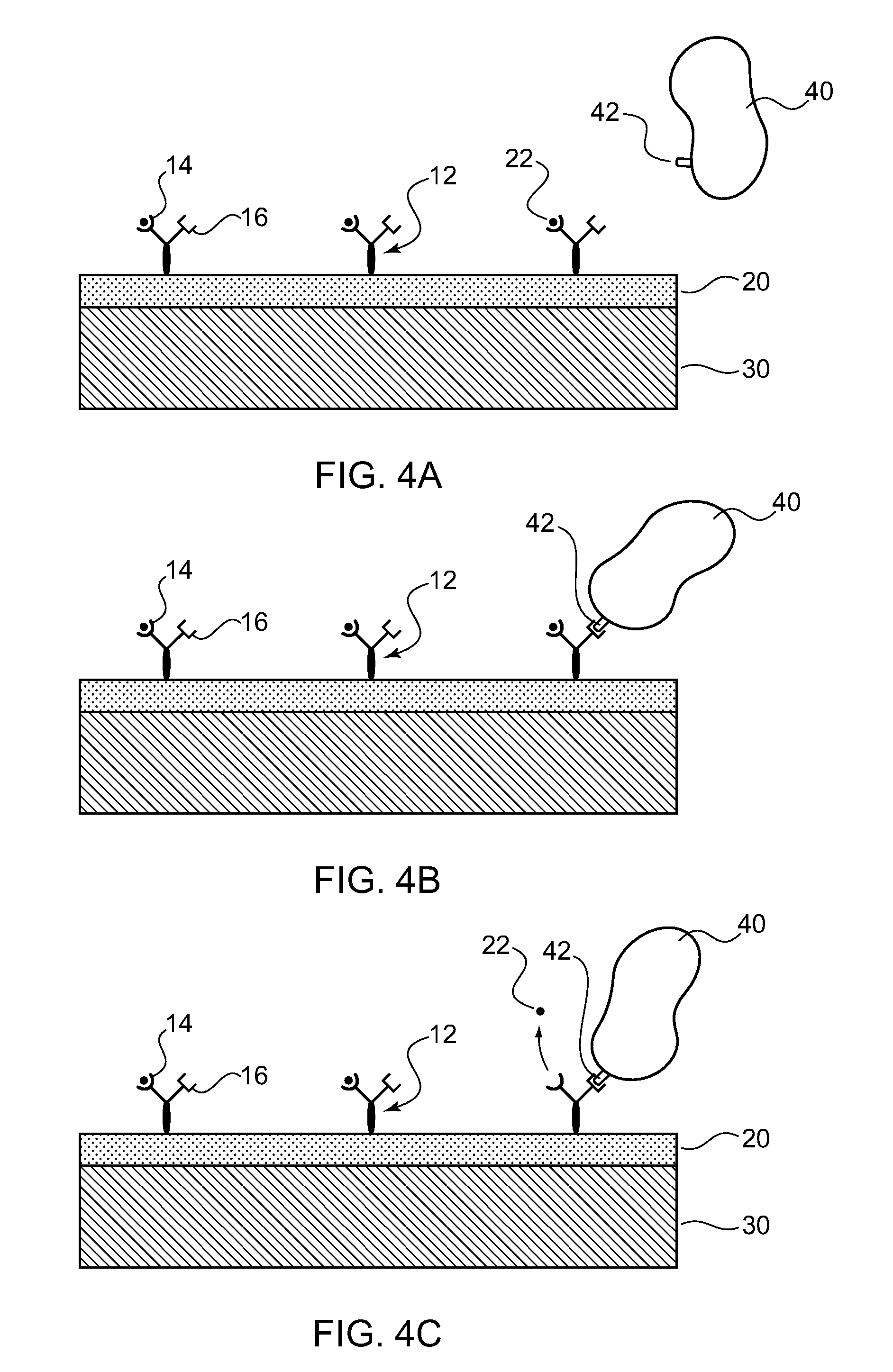 Medical devices coated with drug carrier macromolecules
