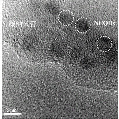 Preparation method of platinum based/nitrogen doped carbon quantum dot-carbon nanotube catalyst