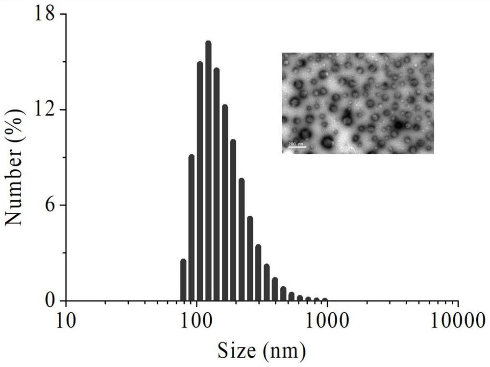 NO-loaded docetaxel nano-drug as well as preparation method and application thereof