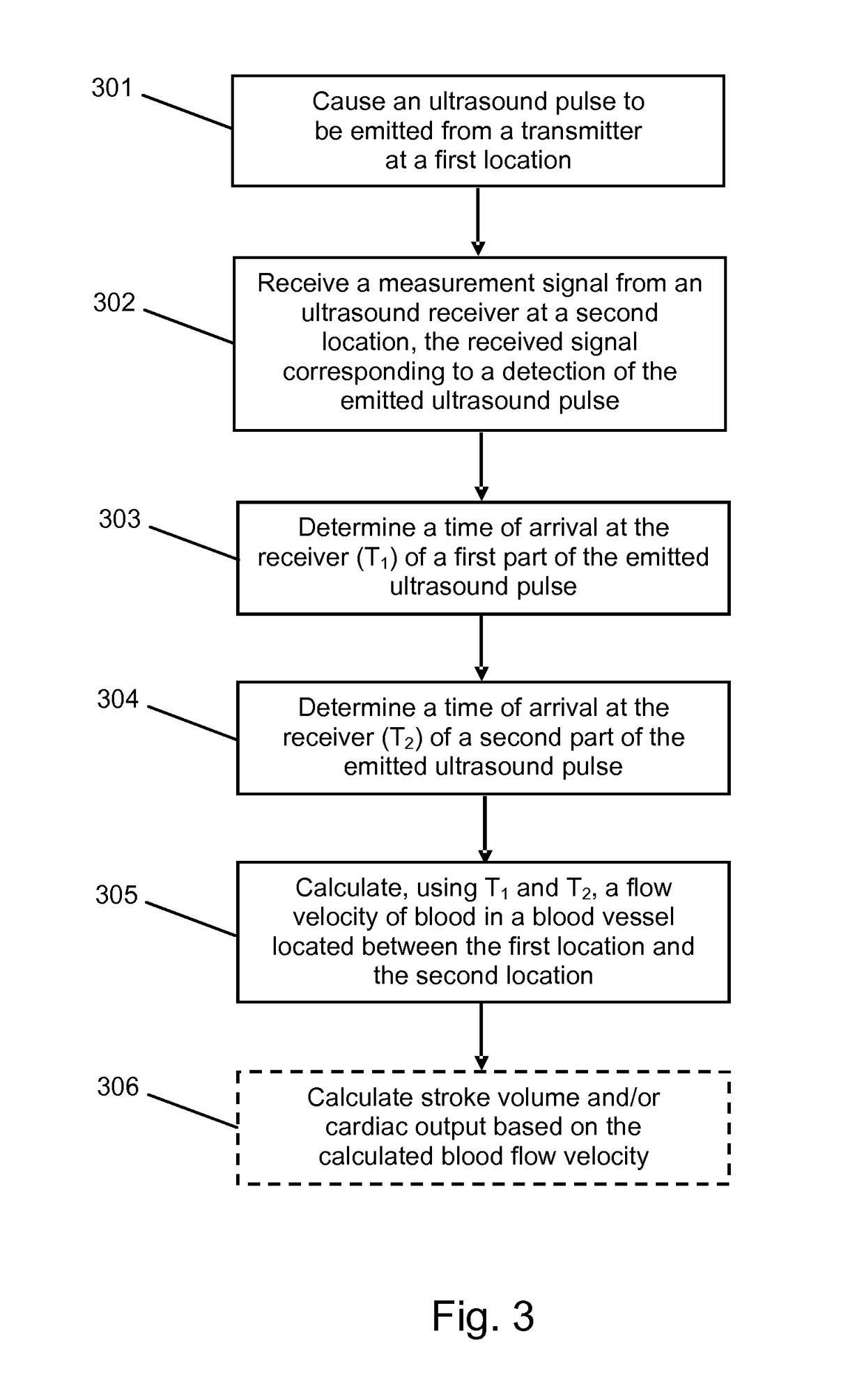 Apparatus and method for determining blood flow velocity