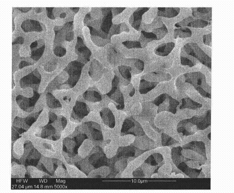 Polyionic liquid base micropore quasi solid state electrolyte preparation method and application