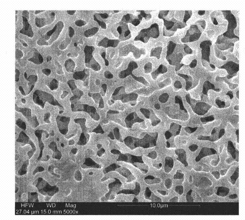 Polyionic liquid base micropore quasi solid state electrolyte preparation method and application