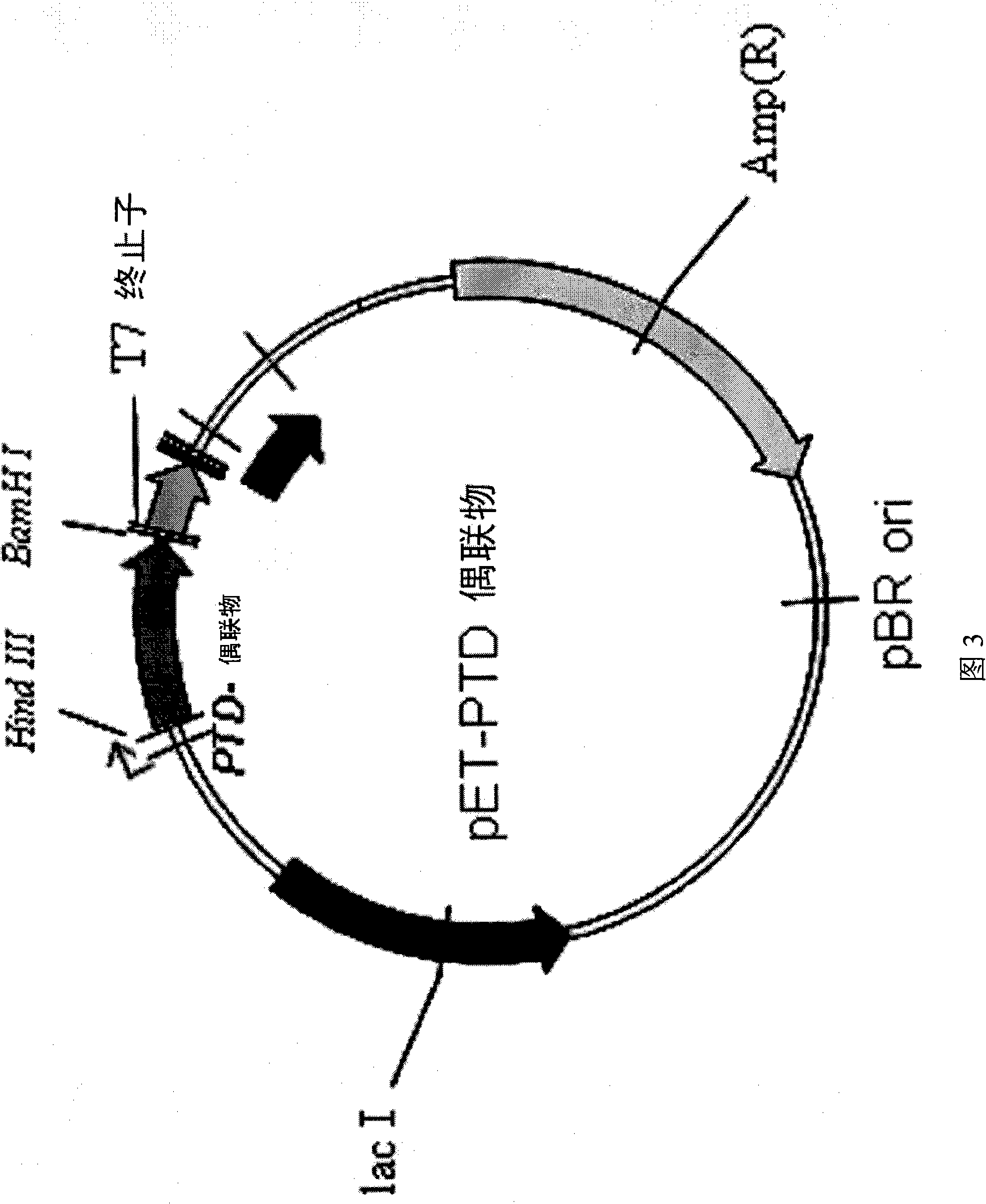 Fusion polypeptide for inhibiting neurotransmitter secretion and method for delivering it