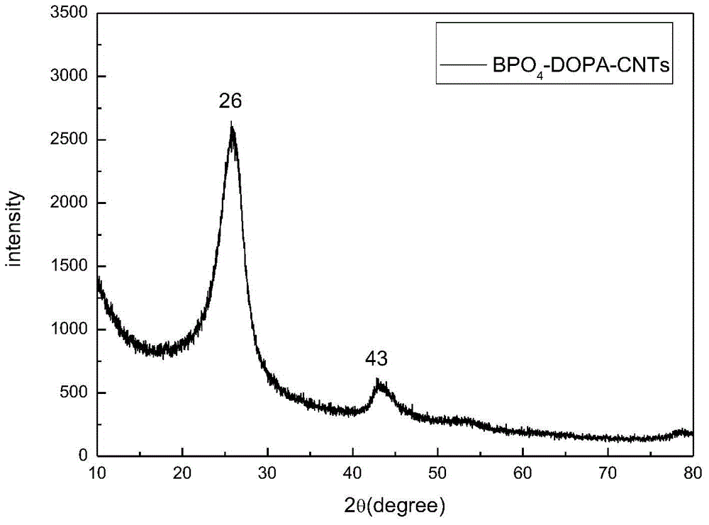 Method for preparing boron phosphate modified carbon nano tube