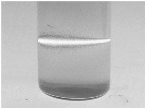 Preparation method of metallic rubidium nano sol