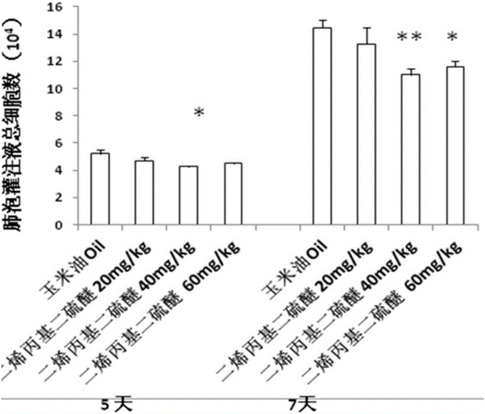 Medicine for reducing body injuries caused by influenza virus infection