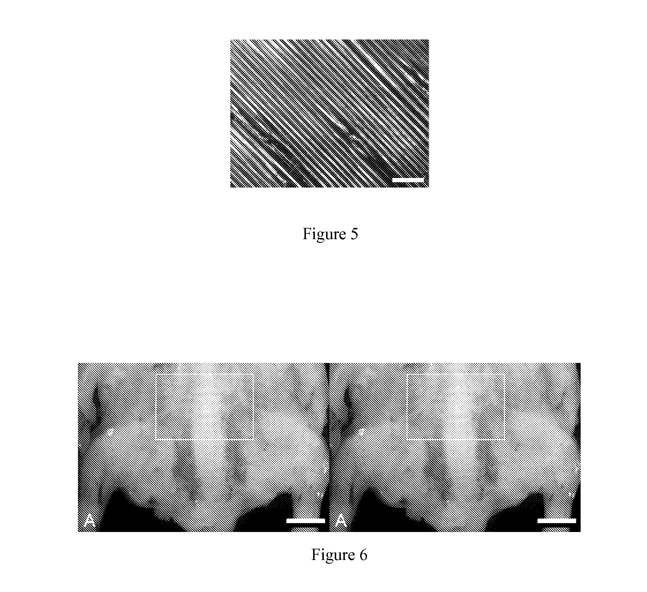 Porous polymer scaffolds for neural tissue engineering and methods of producing the same
