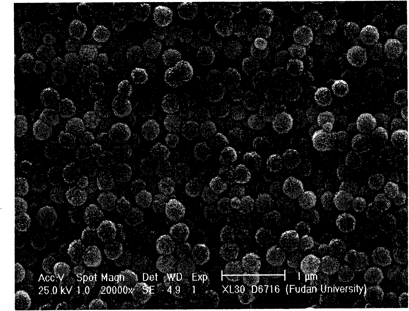 Super paramagnetism inorganic nanometer microballoon and preparation method thereof