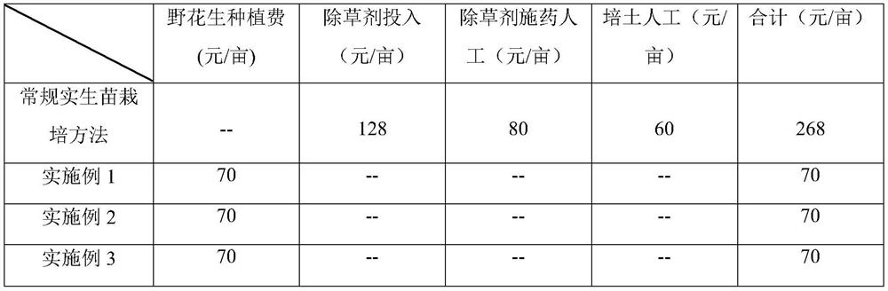 Simple cultivation method for sugarcane seedlings