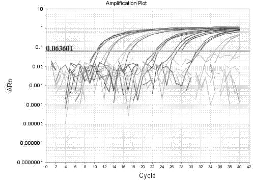 Primer for detecting porcine sapelo virus, Taqman-MGB probe and kit