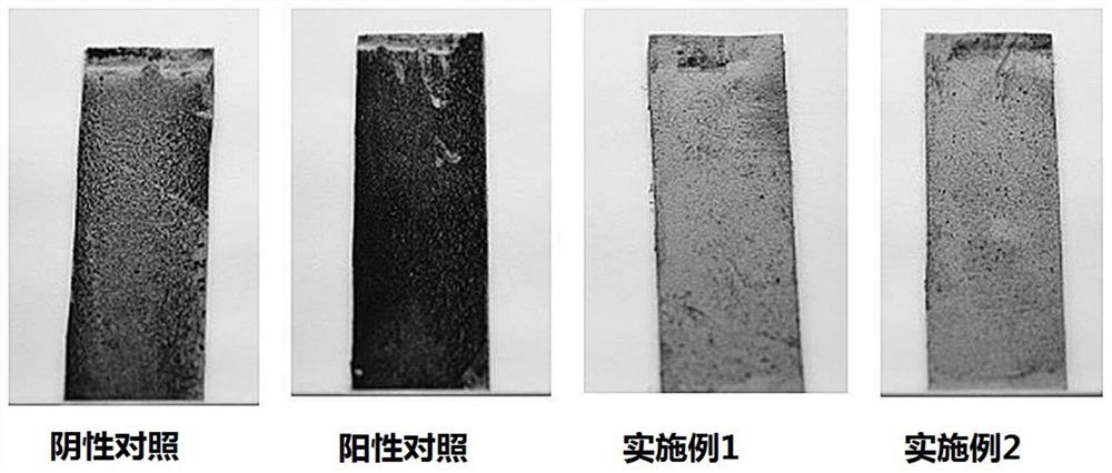 Compositions containing negatively charged substances for protection against fine dust