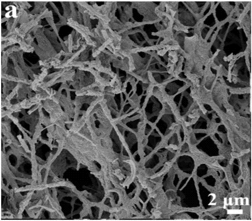 Copper phthalocyanine/gamma-bismuth molybdate composite nanofiber photocatalytic material and preparation method and application thereof