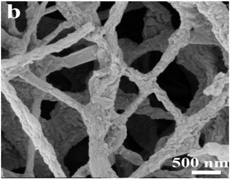 Copper phthalocyanine/gamma-bismuth molybdate composite nanofiber photocatalytic material and preparation method and application thereof