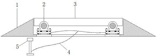 Detection device for road overload control