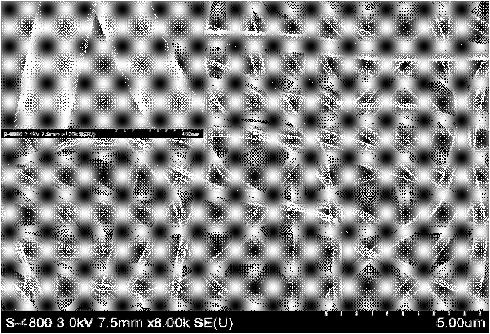 Preparation method for integral polyacrylonitrile carbon fiber electrode for desalination