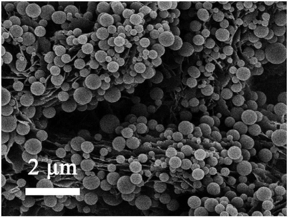 Foam nickel-loaded nanometer flower spherical carbon and sulfur composite lithium-sulfur battery positive electrode material and preparation method thereof