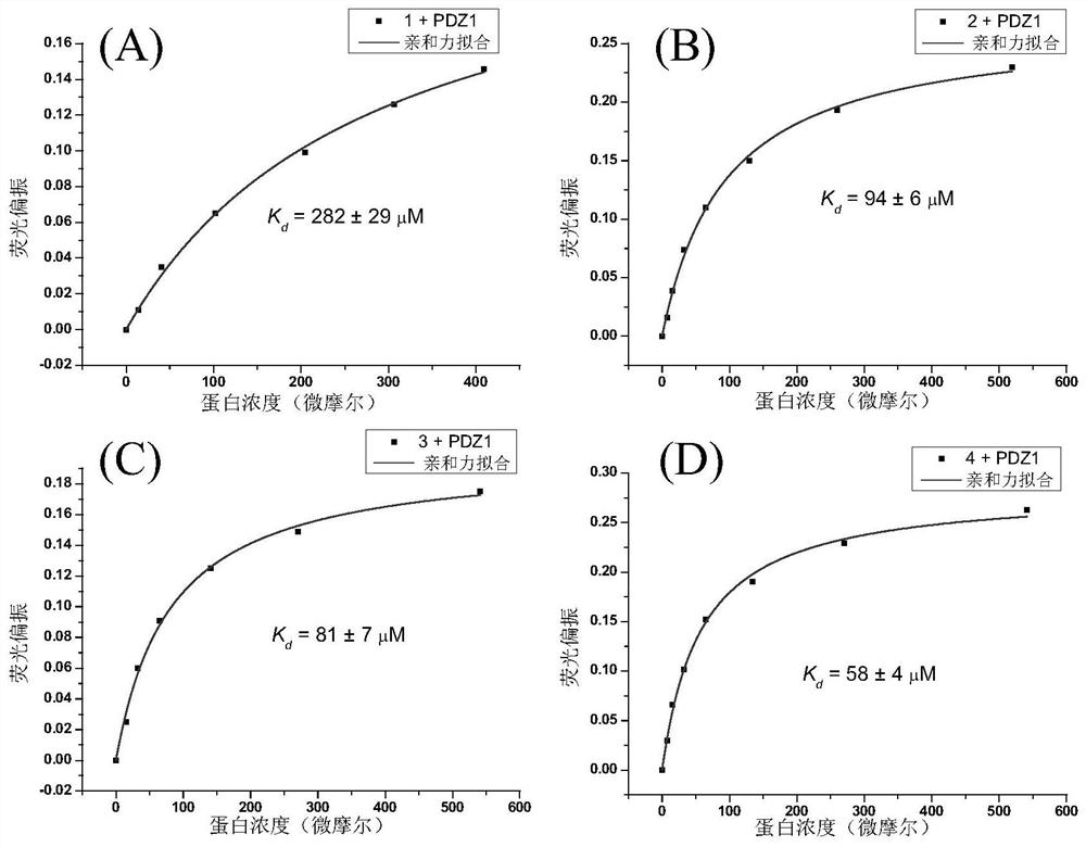 A kind of polypeptide targeting syntenin protein and its dimer and application