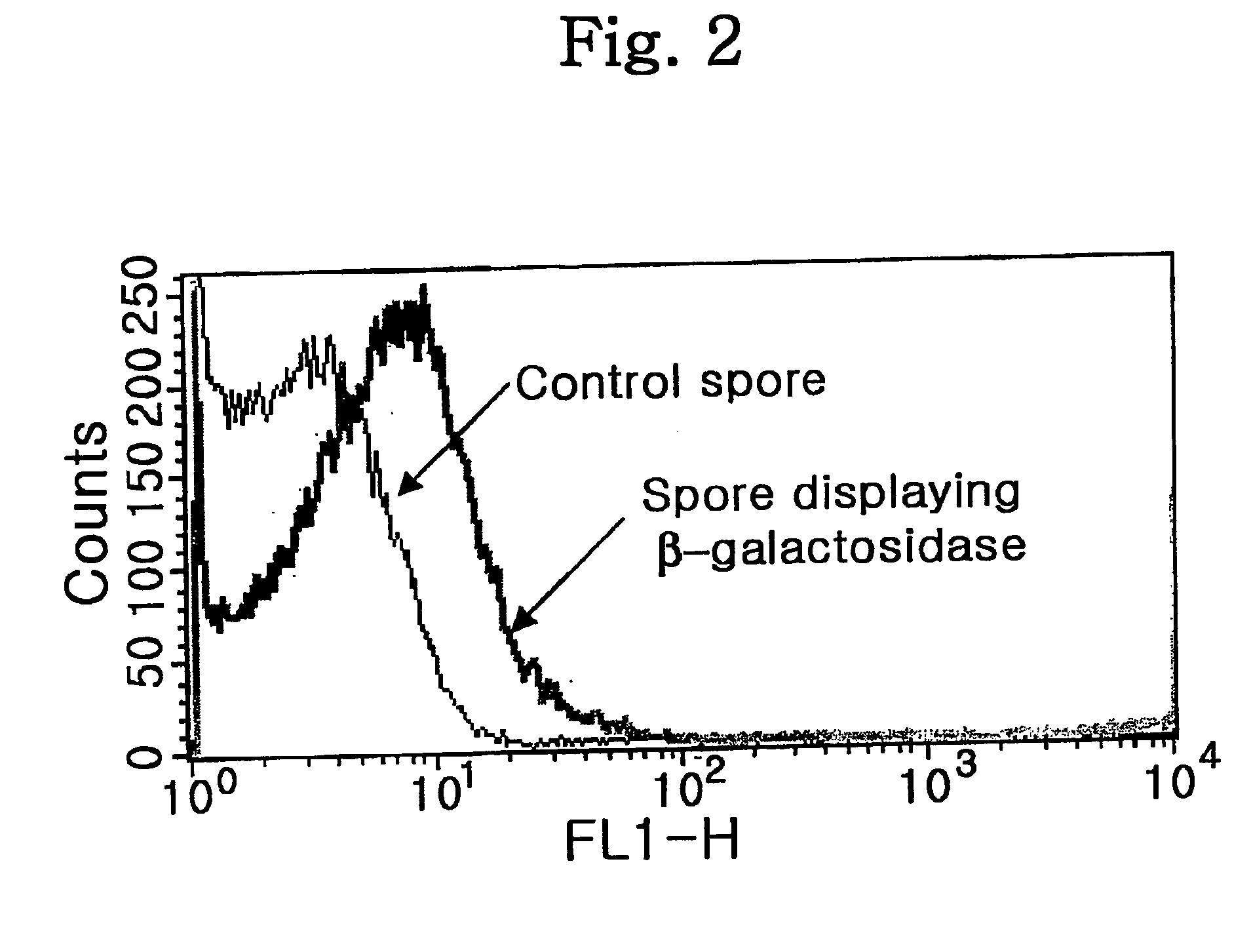 Stabilized biocatalysts and methods of bioconversion using the same