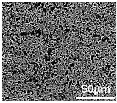 Super-lubricating surface of inorganic oxide and phase separation preparation method of super-lubricating surface