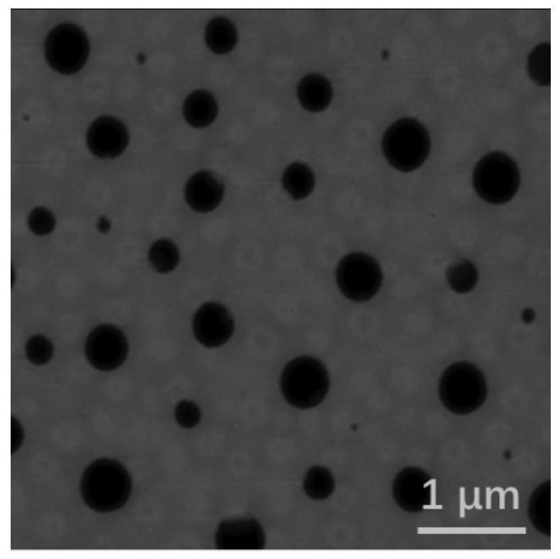 A kind of preparation method of porous polymer semipermeable membrane and product thereof