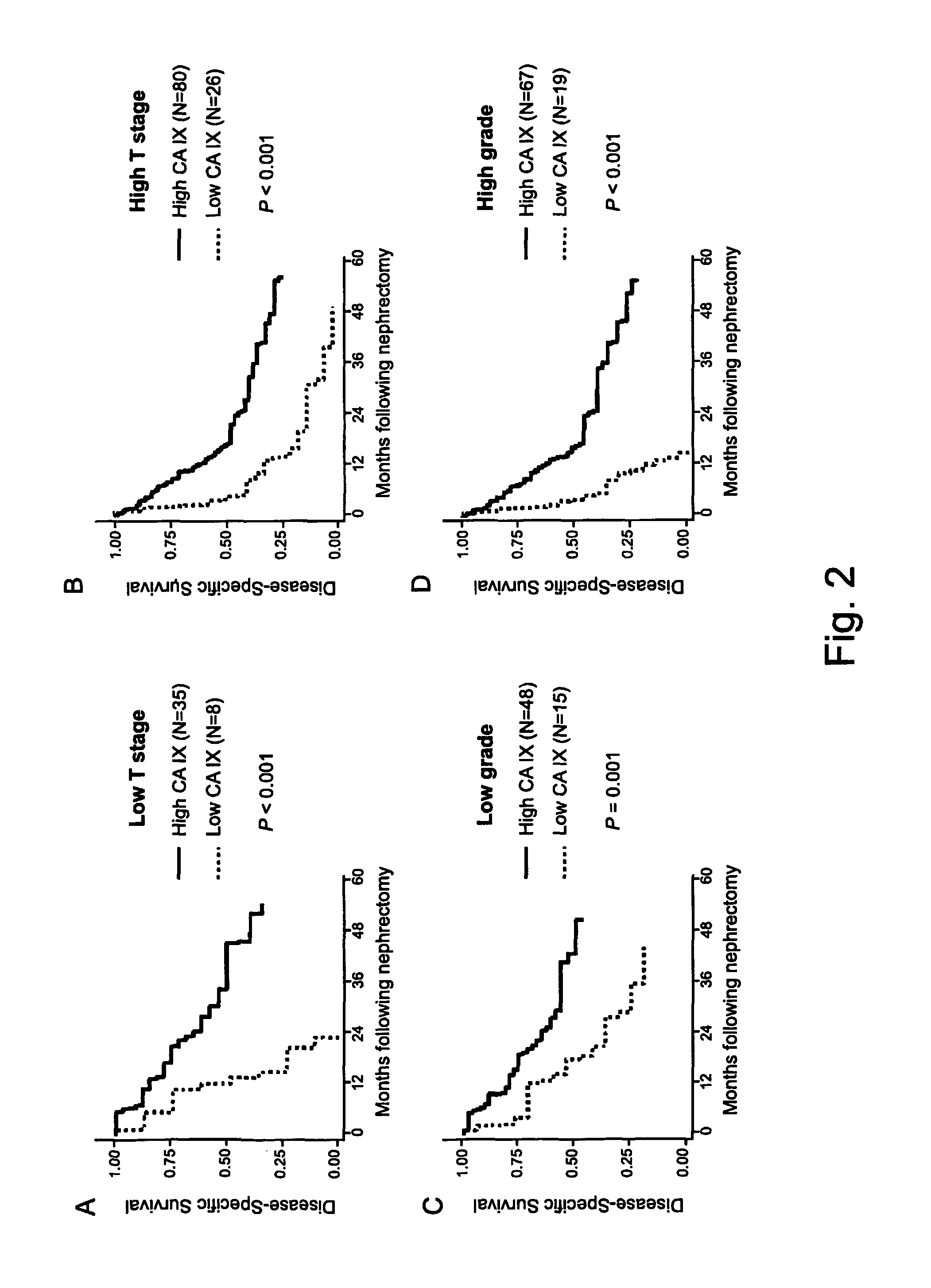 Methods of renal cell carcinoma prognosis and treatment selection with carbonic anhydrase IX