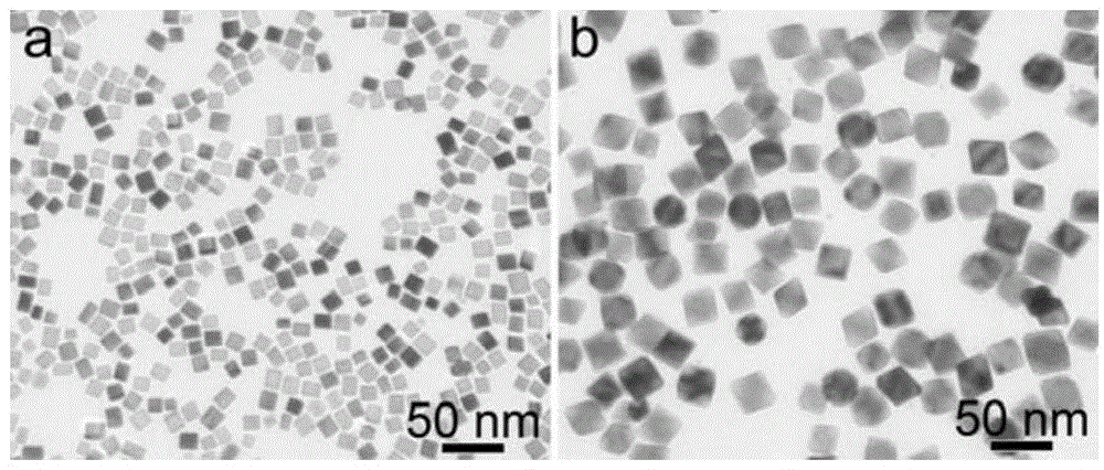 Pd@PtNi/C metal nano-catalyst, and preparation method and use thereof