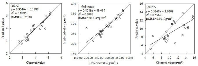 Rice nitrogen nutrition estimation method based on canopy image feature derivation