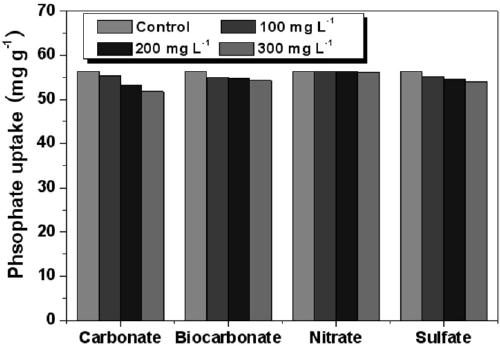 Preparation method of solidago canadensis carbon-based phosphorus removal adsorbent and application