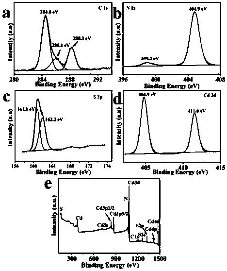 Graphite-phase nitrogen carbide/cadmium sulfide photocatalytic nano-composite material with burr spherical structure, preparation method and application thereof