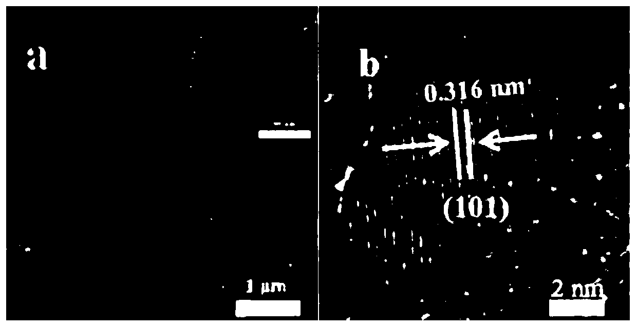 Graphite-phase nitrogen carbide/cadmium sulfide photocatalytic nano-composite material with burr spherical structure, preparation method and application thereof