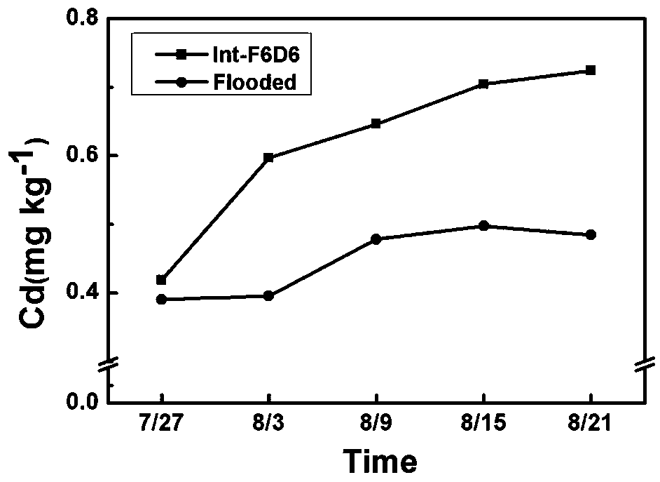 Method for repairing cadmium-contaminated soil through rice