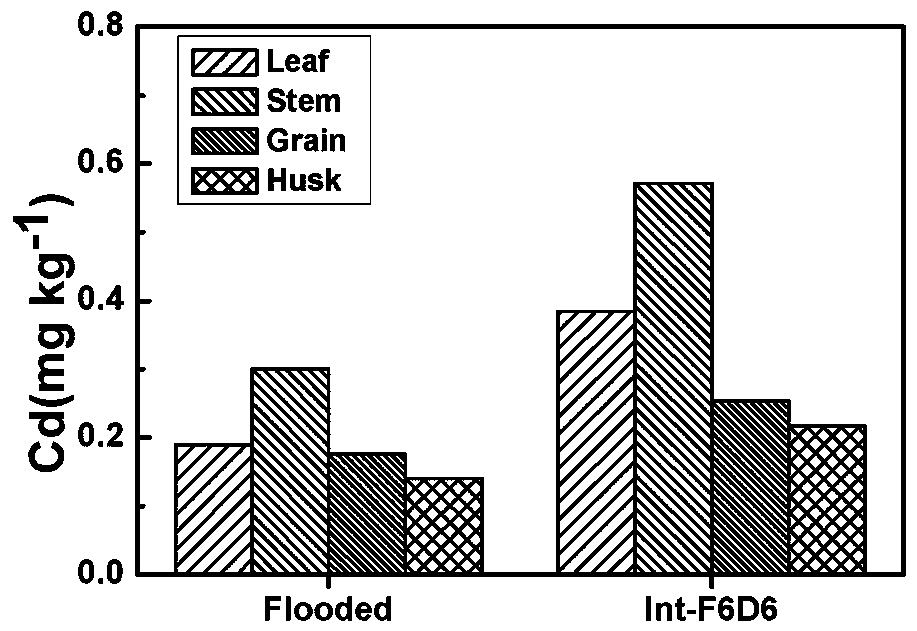 Method for repairing cadmium-contaminated soil through rice