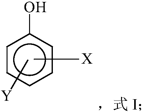 Free radical protective agent for preparing hexanedioic acid through direct oxidation of cyclohexane