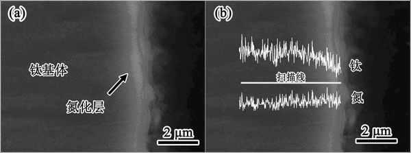 Method for preparing nitrogen-doped titanium dioxide nanotube array