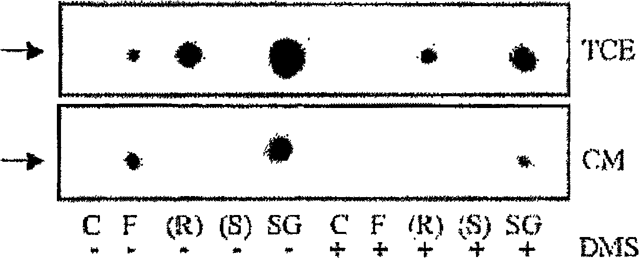 Methods of inhibiting vascular permeability and apoptosis