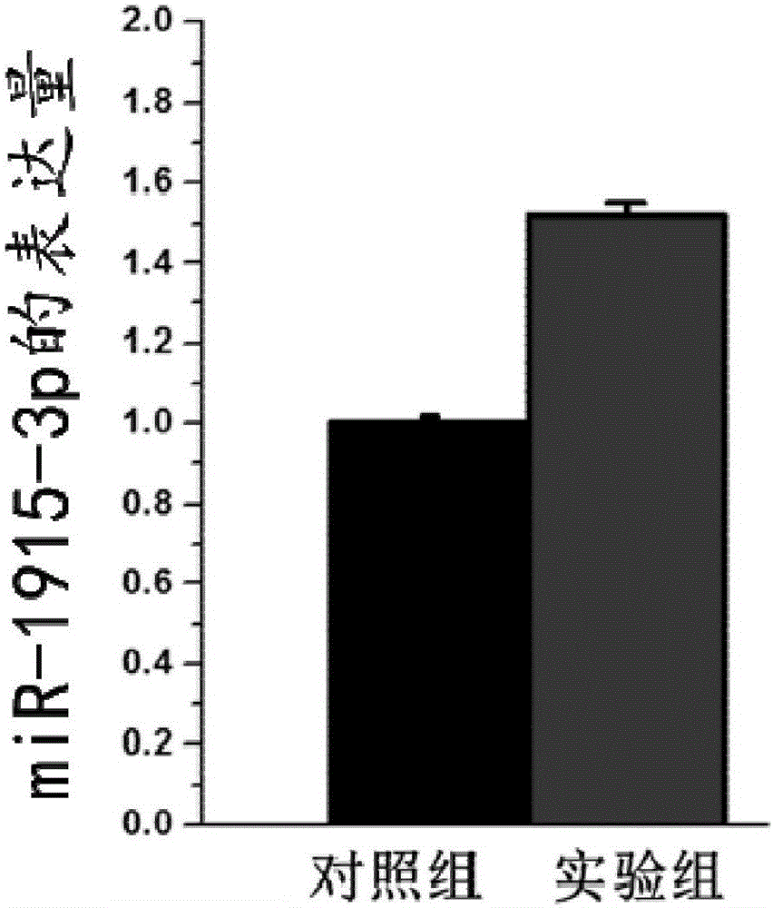 Use of nucleic acid in improving differentiating efficiency of meganucleus of cell