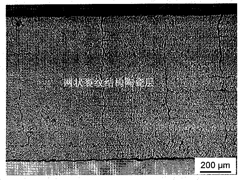 Multielement rare earth oxide doped zirconia thermal barrier coating with craze crack structure and preparing method thereof
