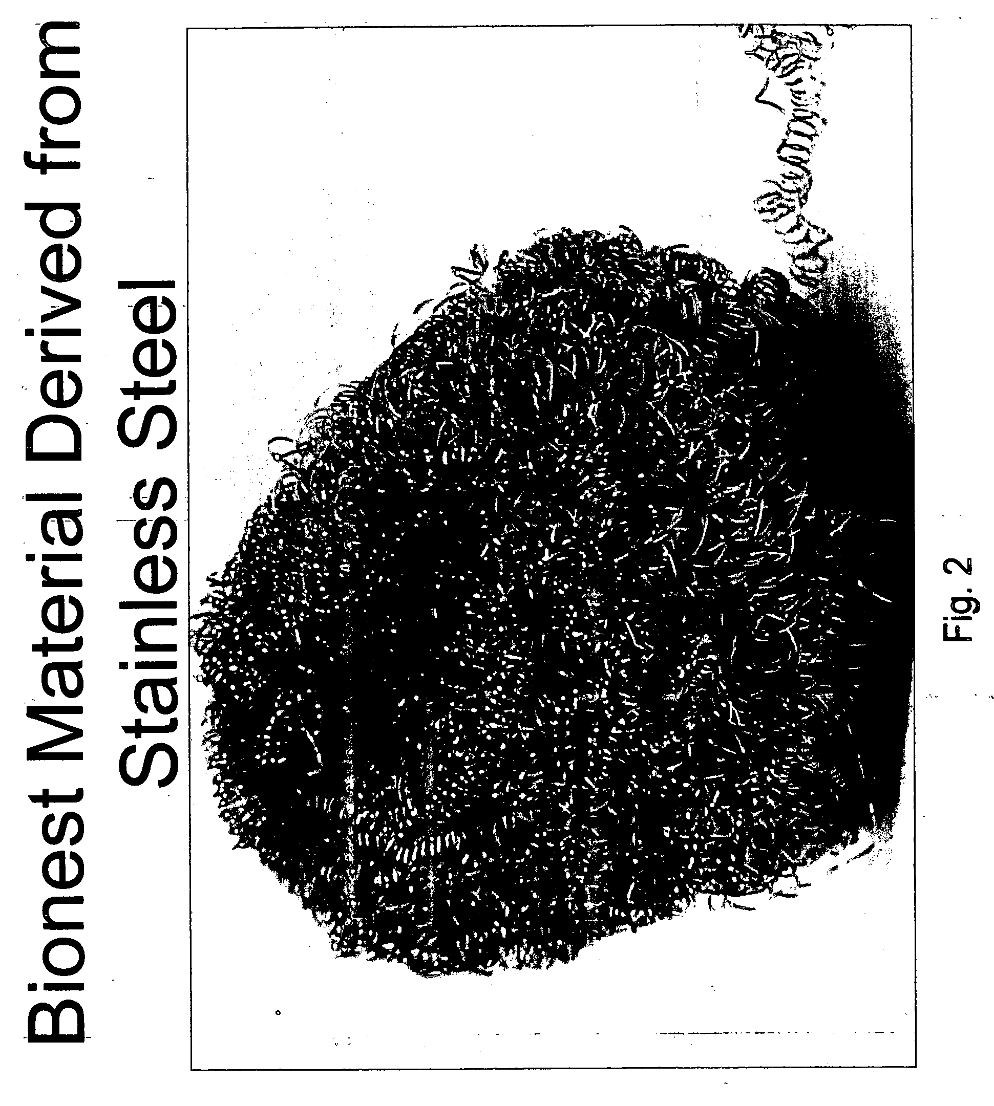 Bionest reactor for the application of anaerobic wastewater treatment and bioenergy recovery