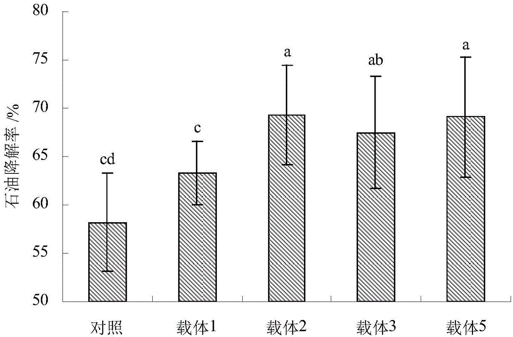 Petroleum hydrocarbon degrading bacteria carrier material and preparation method and purpose thereof