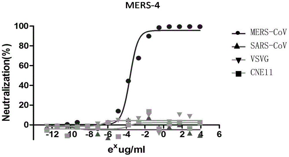 Monoclonal antibody MERS-4, as well as coding gene and application thereof