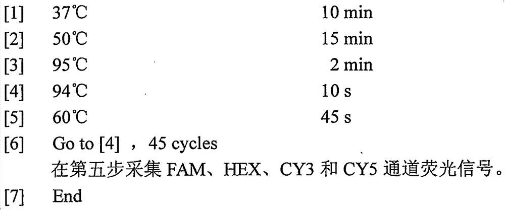 A hepatitis C virus one-step-method nucleic acid quantification/genotype RT-PCR detection kit