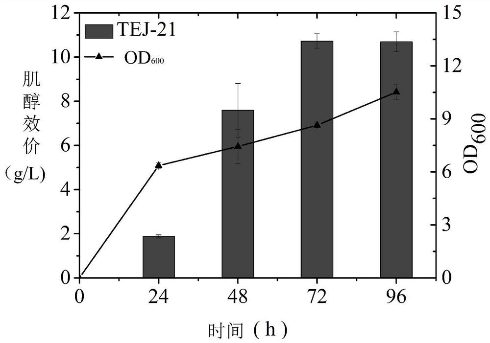 Engineering bacterium for producing inositol as well as construction method and application of engineering bacterium