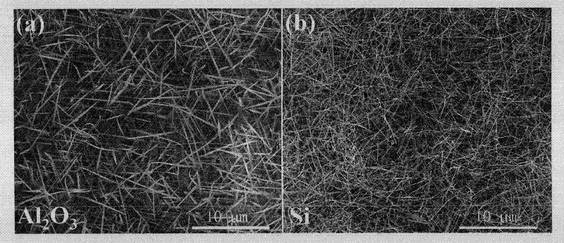 Method for preparing phosphor-doped zinc oxide nanowires