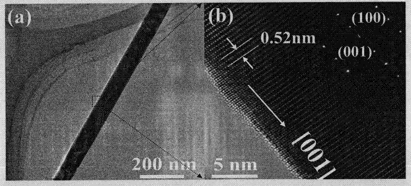 Method for preparing phosphor-doped zinc oxide nanowires