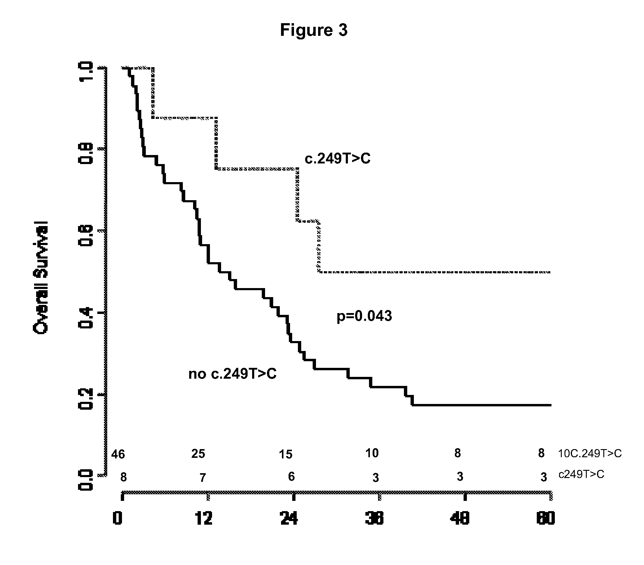 CA9 gene single nucleotide polymorphisms predict prognosis and treatment response of metastatic renal cell carcinoma