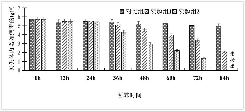 Method and device for reducing norovirus in seawater shellfish