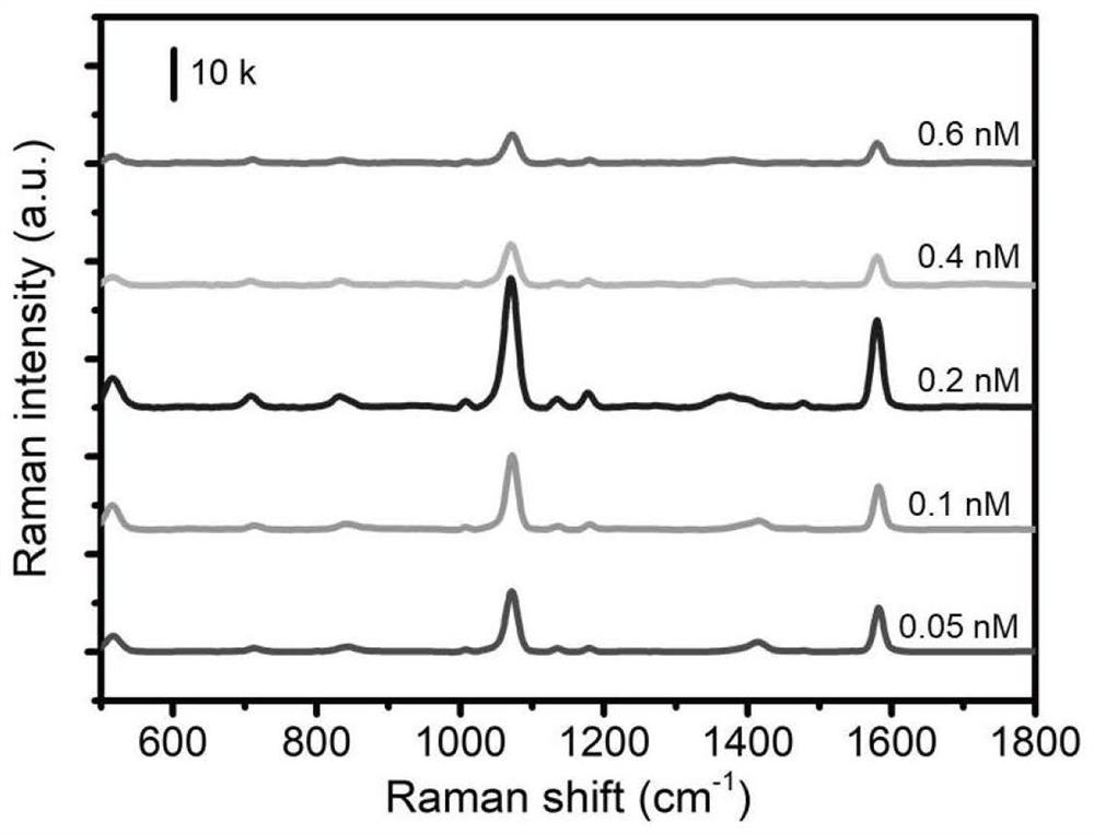 Surface enhanced Raman spectrum detection method based on aggregation restabilization strategy
