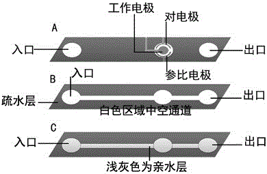 Preparation of an Electropolymerized Molecularly Imprinted Polymer Hollow Channel Paper Device and Its Application in Instant Detection of Pesticide Residues