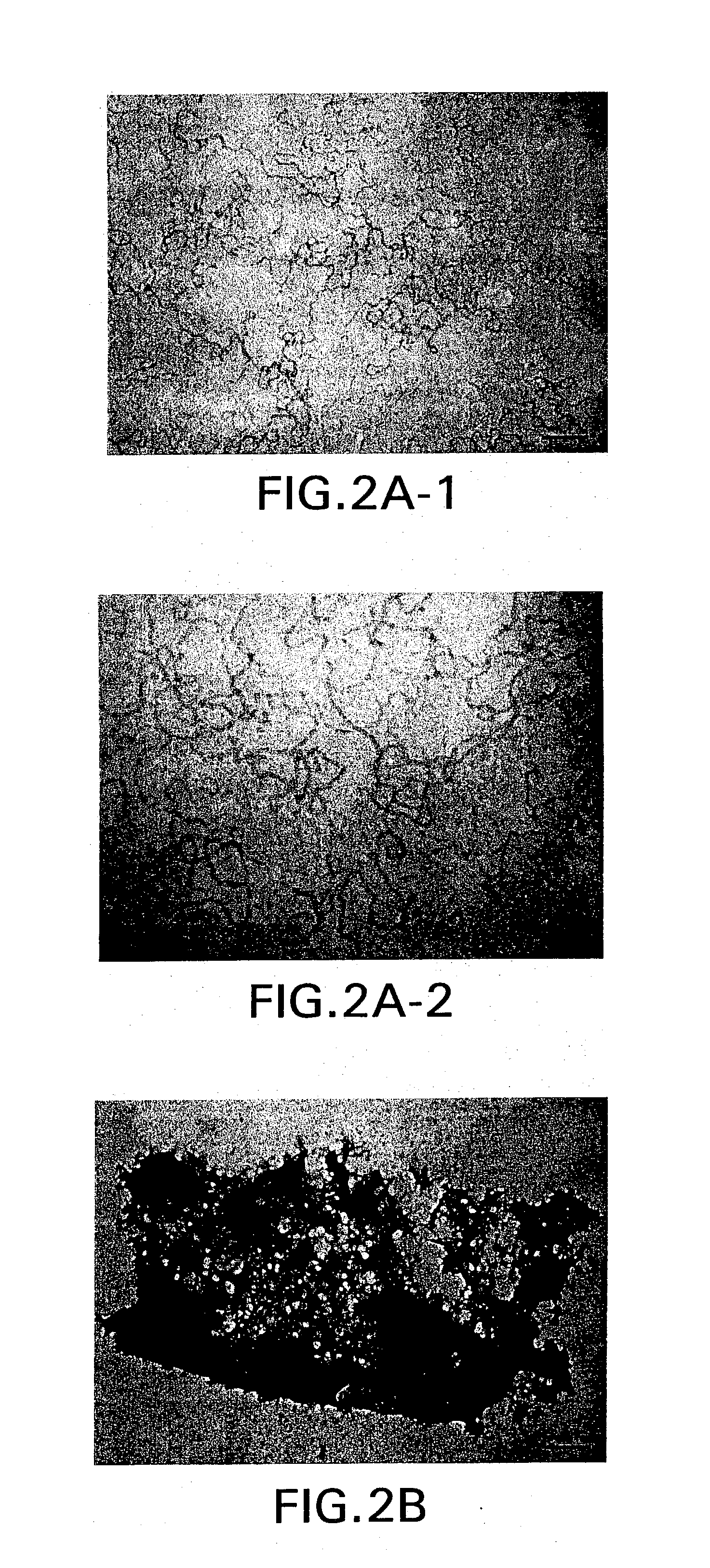 Methods for protein refolding