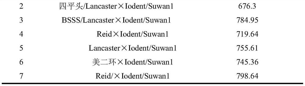 Method for breeding inbred line based on corn Suwan-Iodent population